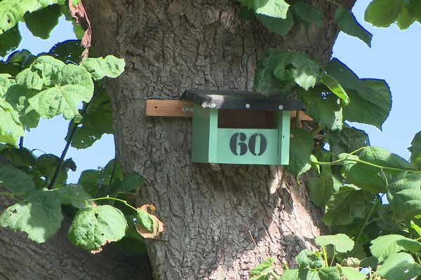 83 nichoirs à oiseaux sont dispersés dans le village de Champien.