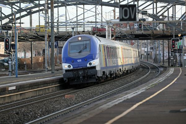 La circulation des TER entre Strasbourg et Kehl est interrompue lundi 1er mars en raison d'un acte de vandalisme.