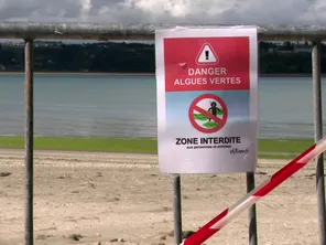 Les riverains comme l'élue sont excédés par la situation. Plus personne ne se rend à la plage avec leurs enfants.