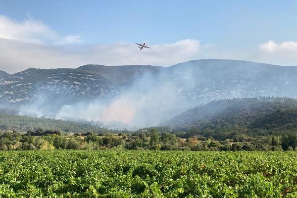 Caudiès-de-Fenouillèdes (Pyrénées-Orientales) - plus de 100 hectares de forêt brûlés - 15 août 2022.