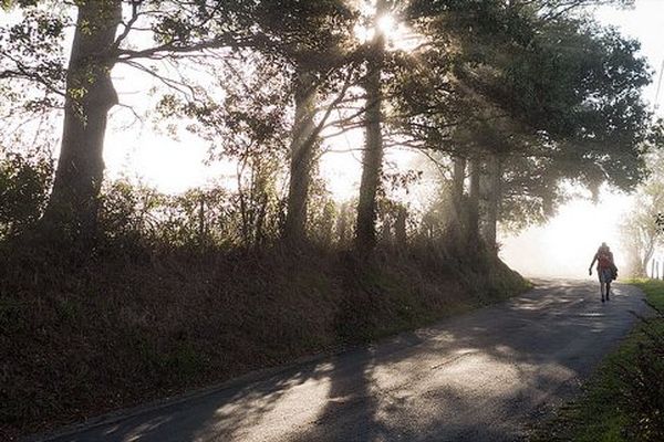 Pèlerin sur la route