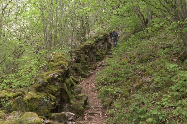 La "Suisse lippique", emmène les promeneurs dans les pas des soldats allemands de la Première Guerre mondiale.