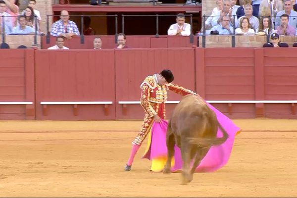 6 mai 2017, Séville, toro de El Pilar. La demie véronique d'Antonio Ferrera!