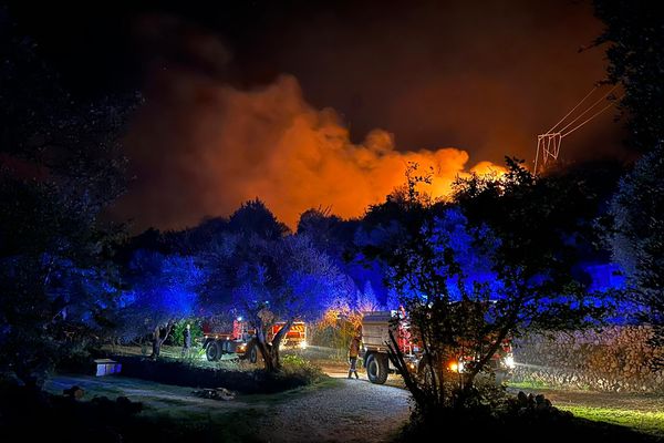 Feu de forêt à Bouyon (06)