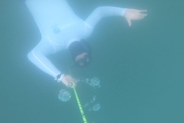 Il est possible de pratiquer l'apnée toute l'année au lac Léman. Seul sport où "moins on le pratique, plus on performe", selon un instructeur.