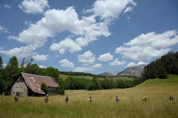 Des bénévoles participent à une opération de recherche d'Emile, le 10 juillet 2023 dans le village du Vernet dans les Alpes du Sud.