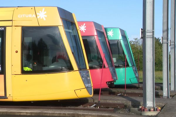 Des tramways au dépôt de Bezannes, en 2023, alors floqués au nom de Citura, l'ancien nom du réseau Grand Reims Mobilités. (archives)