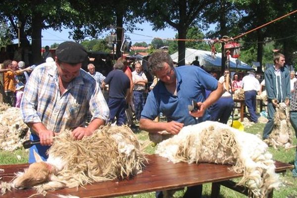 Pastore Lore est une fête qui met à l'honneur le pastoralisme, le travail des éleveurs tout au long de l'année, l'artisanat local, les produits du terroir mais également les traditions et la culture du Pays Basque. Rendez-vous à Ascain (64) le dimanche 13 octobre 2013