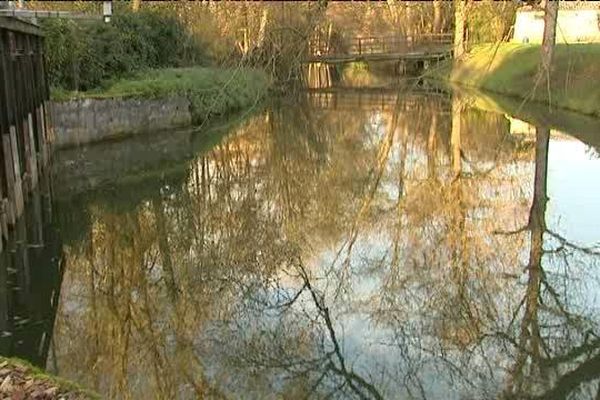 La rivière la Cisse (Loir-et-Cher) s'asphyxie