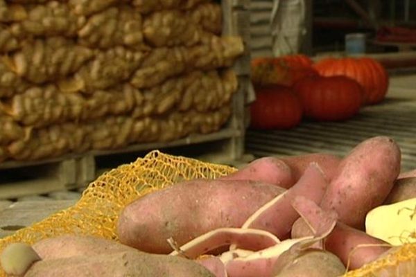 Damien et Françoise Adam se retrouvent avec 150 tonnes de pomme de terre sur les bras. 