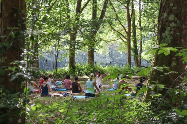 Six français sur dix déclarent rêver d'aller en forêt.