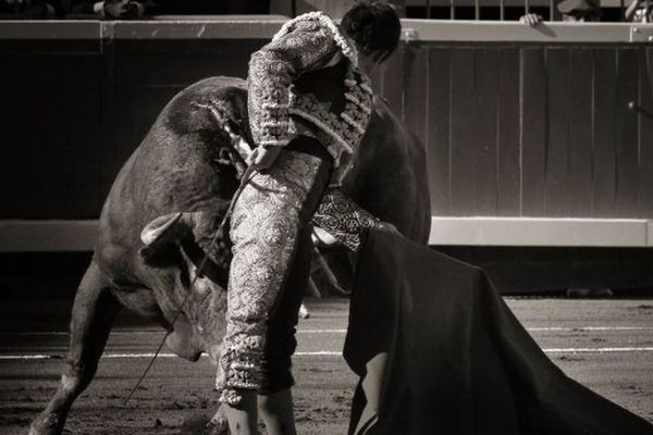 El Juli, au cours de ce gris et même noir mano a mano de la feria de Bilbao