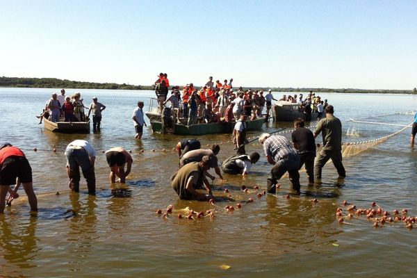 La fête du lac de Grandlieu