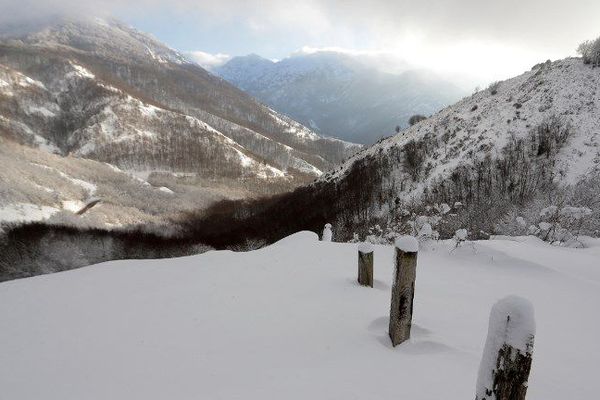 Illustration : le col de Vizzavona le 19 janvier 2017