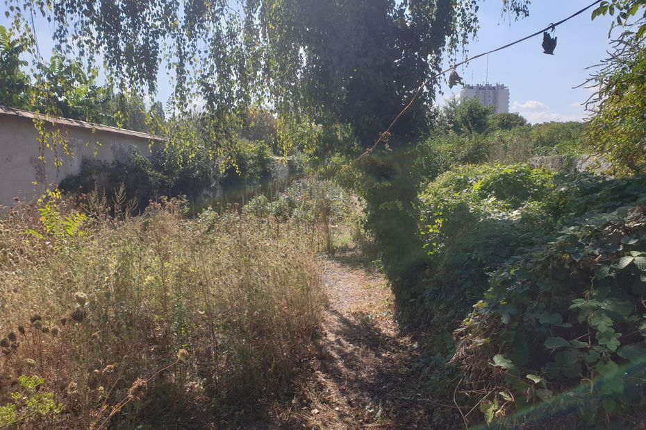 In Montreuil, enthusiasts want to save a local heritage: the peach walls