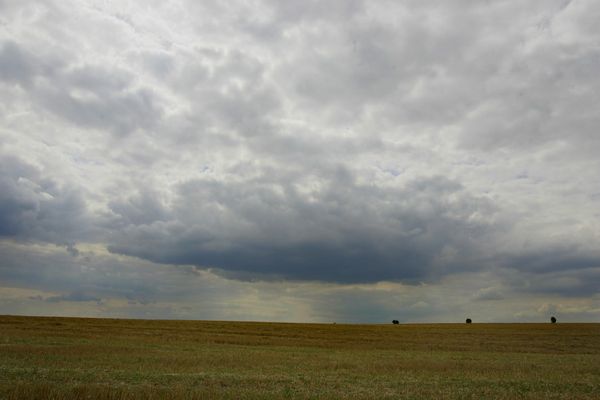 Les surfaces dédiées à l'agriculture reculent lentement mais sûrement en Île-de-France.