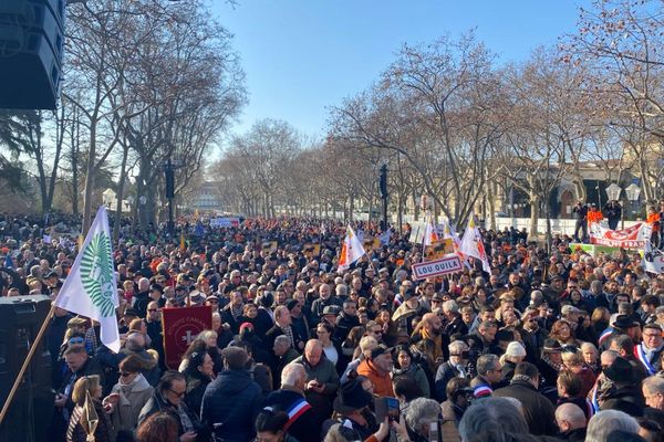 Des milliers de personnes manifestent ce samedi à Montpellier pour la défense de la ruralité. Une mobilisation d'ampleur suite à une tribune dans le Monde du parti animaliste et des écologistes remettant en cause certaines pratiques liées à l'élevage taurin