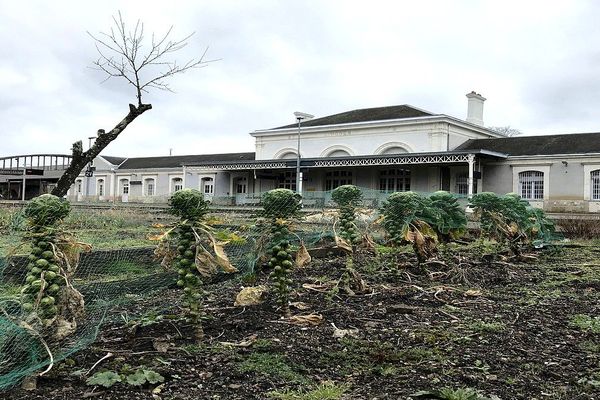 A Montjovis, les jardins ouvriers jouxtent les voies de la plus vieille gare de Limoges