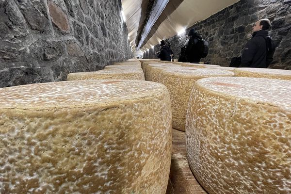 En Corrèze, une fromagerie affine ses fromages dans un ancien tunnel ferroviaire.