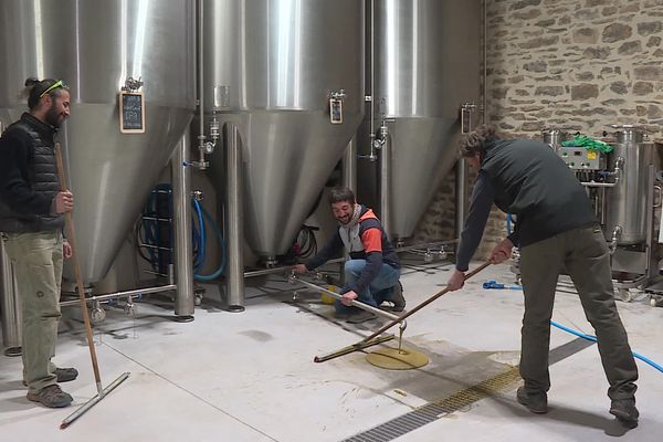 A Chamilly sur la côte chalonnaise, les frères Desfontaine produisent du vin... et de la bière