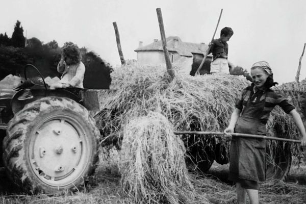 Dans les années 1970, les femmes prennent les reines des travaux mécanisés alors qu’elles ne sont toujours considérées que comme des femmes d’agriculteurs