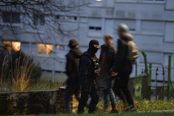 Pour ces opérations "d'envergure" menées partout en France, le RAID, les brigades cynophiles, la CRS 83 et les unités de CRS locales sont mobilisées. Illustration.