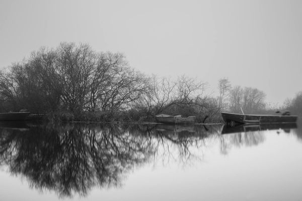 Le lac de Grand Lieu