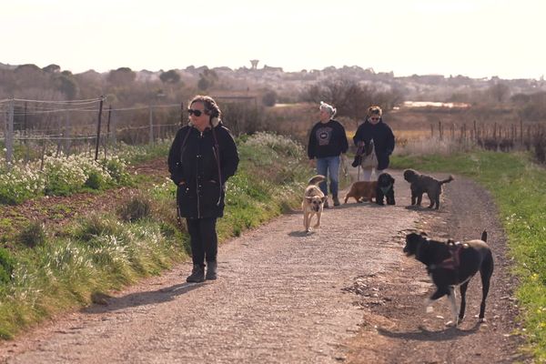 Une voie verte qui passerait par Saint-Georges-d'Orques est en projet dans la métropole de Montpellier.