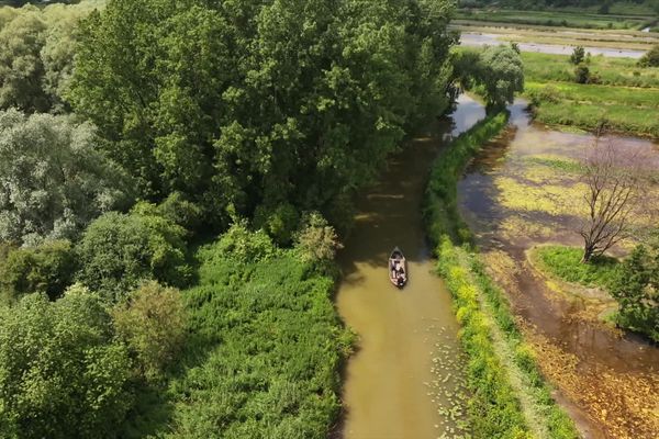 Le marais audomarois s'étend sur 15 communes du Pas-de-Calais et du Nord et couvre une surface de 37 km², ce qui en fait la plus vaste zone humide de la région.