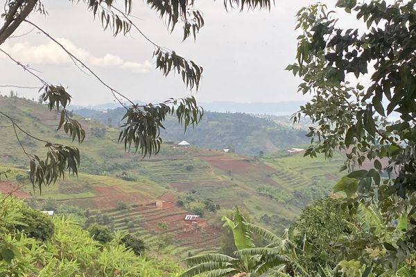 Les habitants des collines de Bisesero, rescapés du génocide des Tutsi au Rwanda témoignent : les militaires français de l'opération Turquoise ne leur ont pas porté secours.