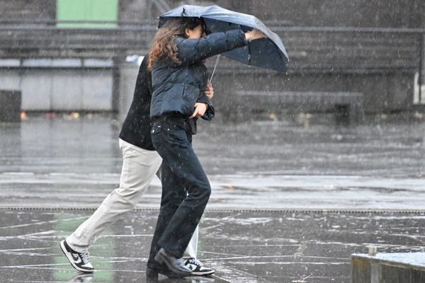 Alerte jaune aux vents violents