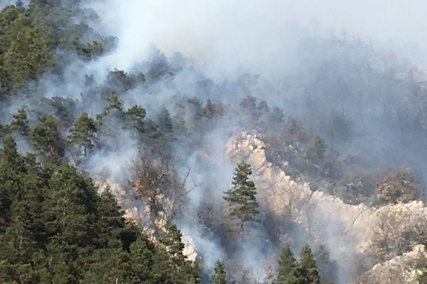 25/03/2019 - Un incendie difficile d'accès s'est déclaré dans un massif des Alpes-de-Haute-Provence.