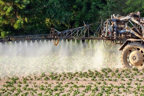 Épandage de pesticides sur un champ de pommes de terre; 