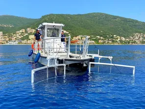 Toute l'année, le bateau de Marecorsica sillonne le littoral corse. "Ce sont des quantités énormes que l'on ramasse".