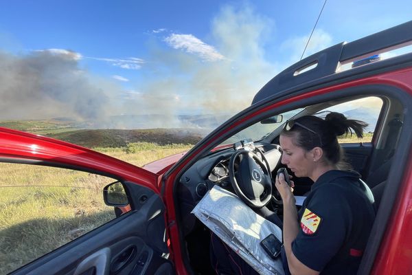 Le feu s'est déclaré vers 16 heures à Calce, au nord-ouest de Perpignan.