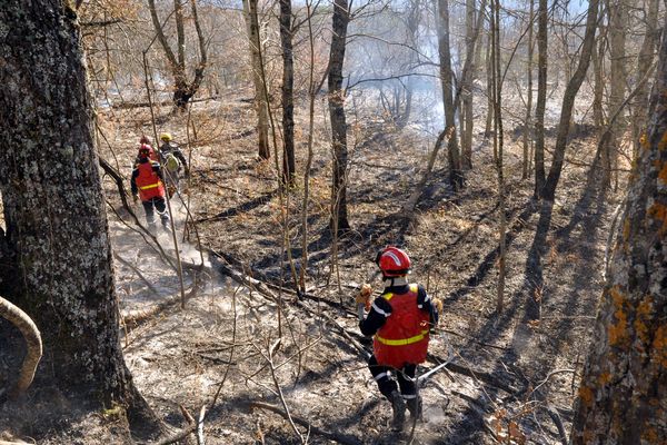 L'individu interpellé, jeudi 28 juillet, est soupçonné d'avoir déclenché un incendie dans le secteur de Montaut en Ariège.