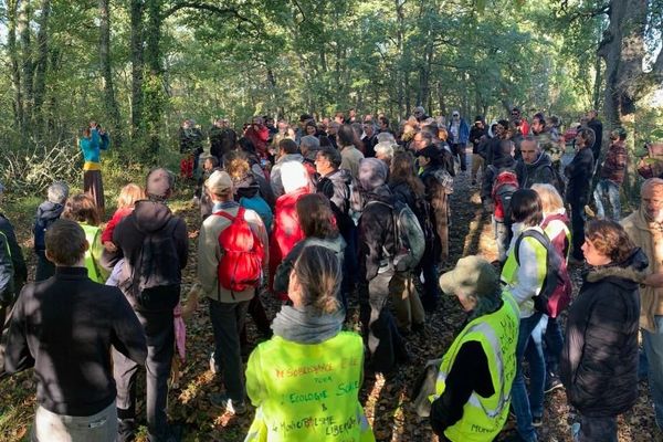 Environ 200 personnes ont fait le déplacement en forêt de Sivens samedi matin pour rendre hommage à Rémi Fraisse