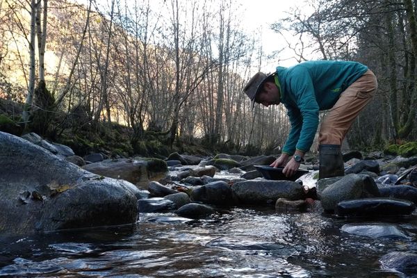 On the Burande river, in Singles, in the Puy-de-Dôme, you can look for gold flakes.