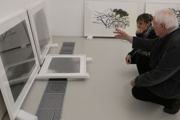 Alexandre Holland, lors de l'installation de ses arbres au musée Fabre.