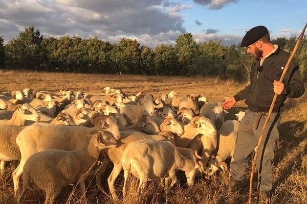 Les éleveurs tarnais sont très préoccupés par l'arrivée probable du loup dans le département. 