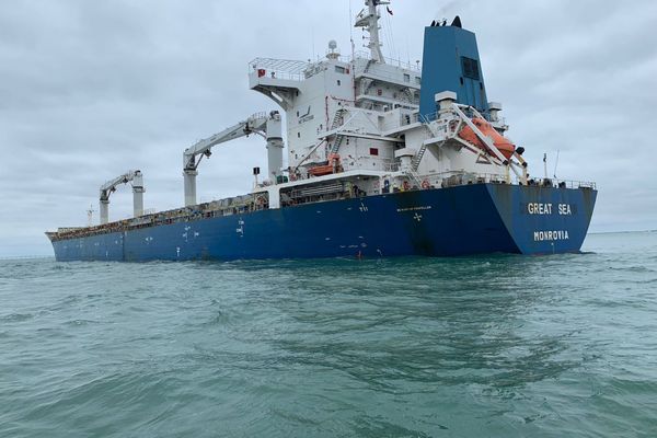 Le navire Great Sea arrivait du Brésil pour une première escale à La Rochelle.