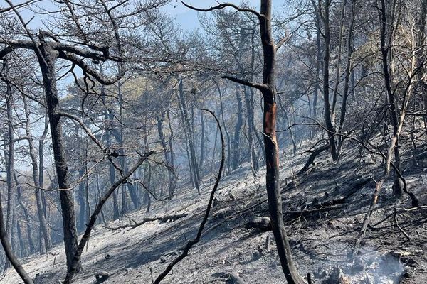 Triste scène après l'incendie à Chanousse dans les Hautes-Alpes : plus de 130 hectares  brûlés