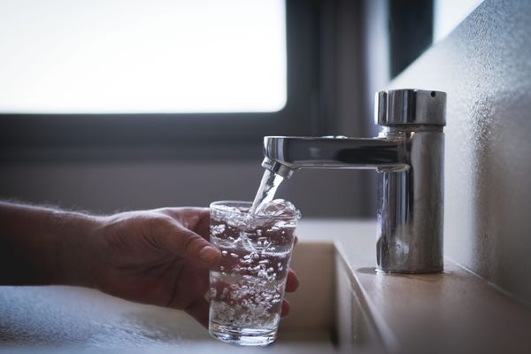 Illustration : un verre rempli avec de l'eau du robinet, 21 juillet 2024.