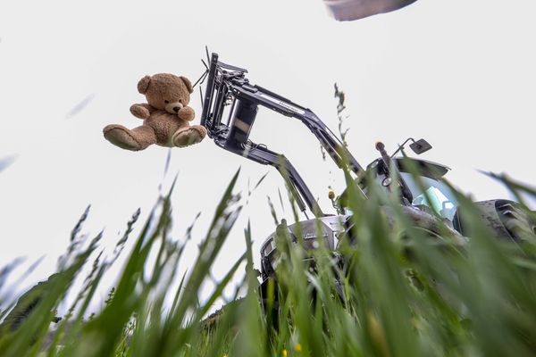 Le symbole de l'ours en peluche pendu avait déjà été utilisé, lors d'une manifestation des anti ours à Arreau (65) en 2021.