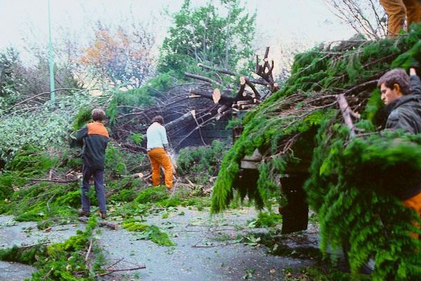 La forêt détruite dans le Morbihan, après le passage de l'ouragan en 1987