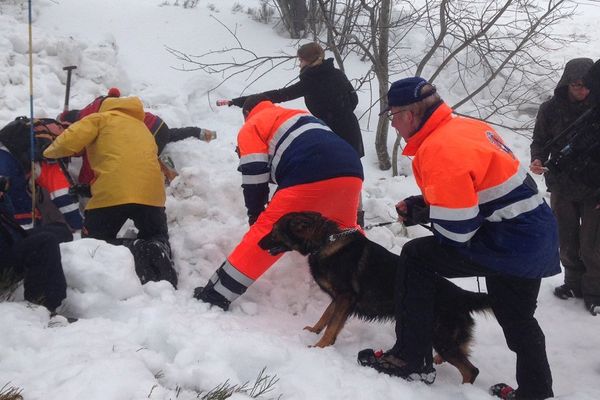 Les sauveteurs, dont un binôme maître-chien, à l'entraînement au Champ du Feu