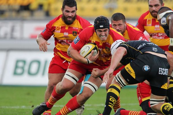 Bastien Chalureau avec l'Usap face à Albi le 10 septembre 2015