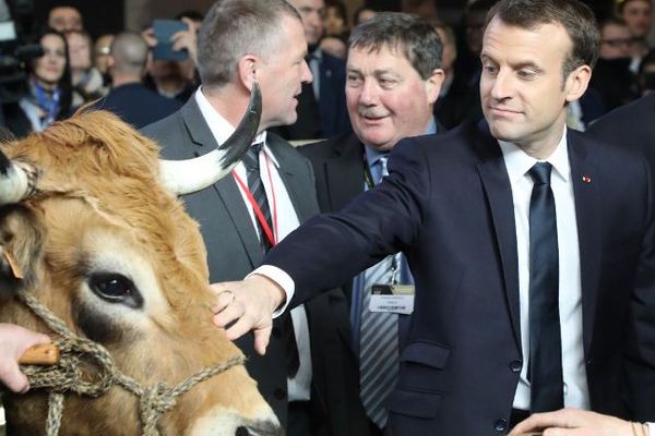 Emmanuel Macron et Haute la vache vedette du salon de l'Agriculture 2018