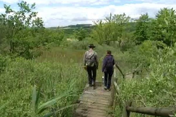 Le marais du Cônois est classé en zone naturelle d'intérêt écologique, faunistique et floristique (Z.N.I.E.F.F). On le visite en empruntant un sentier sur pilotis.