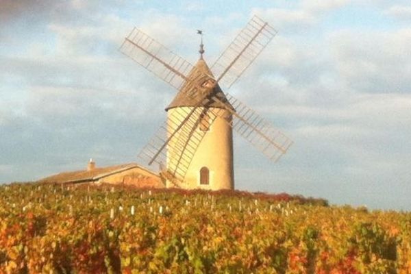 Le fameux moulin à vent qui donne son nom à un des plus prestigieux crus du beaujolais